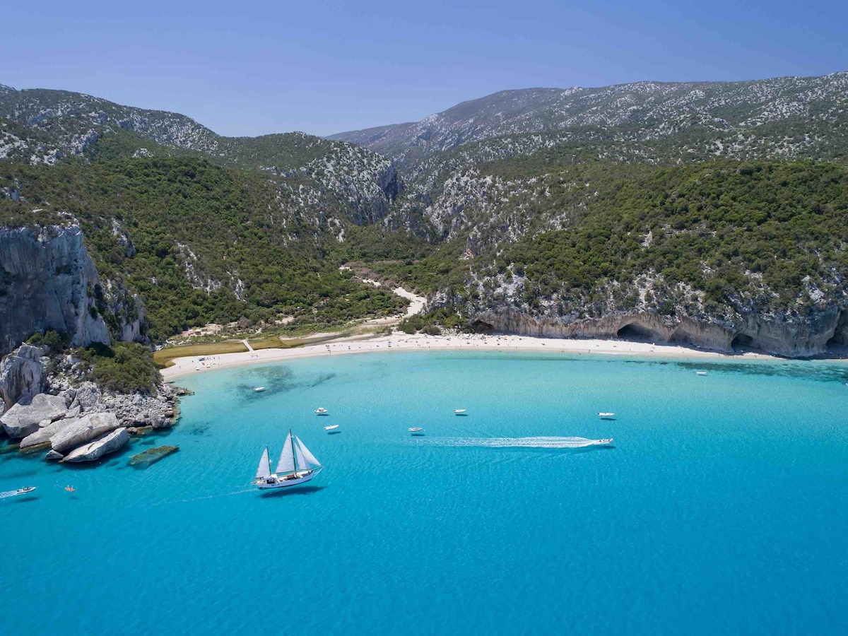 A serene beach scene is captured from above, featuring soft white sands bordered by lush green hills. Gentle waves lap against the shore, and several boats are seen in the vibrant turquoise waters. The landscape merges with dramatic cliffs, creating a picturesque coastal setting.
