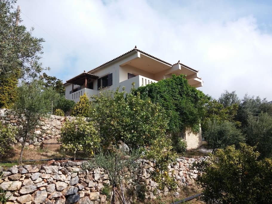 View from the garden