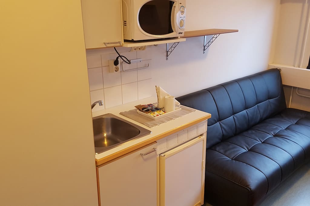 room sofa, fridge and micro