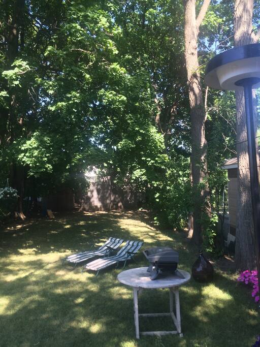 Private backyard!