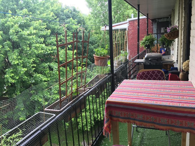 Cozy apartment near downtown/metro Charlevoix