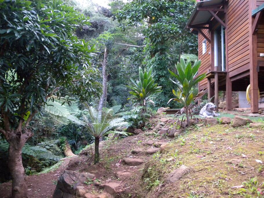 Votre Bungalow