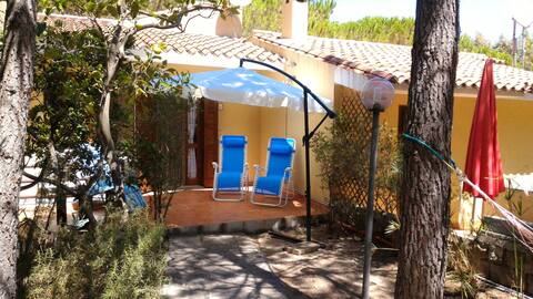 Pine forest villa, 1 km from the sea