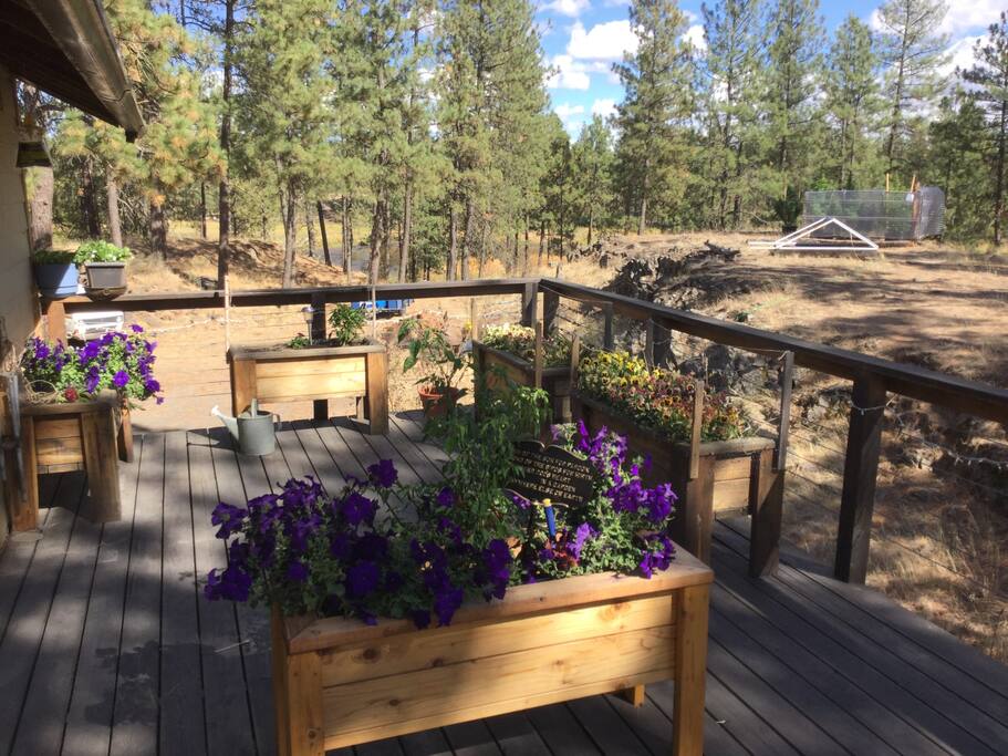 Summer deck
