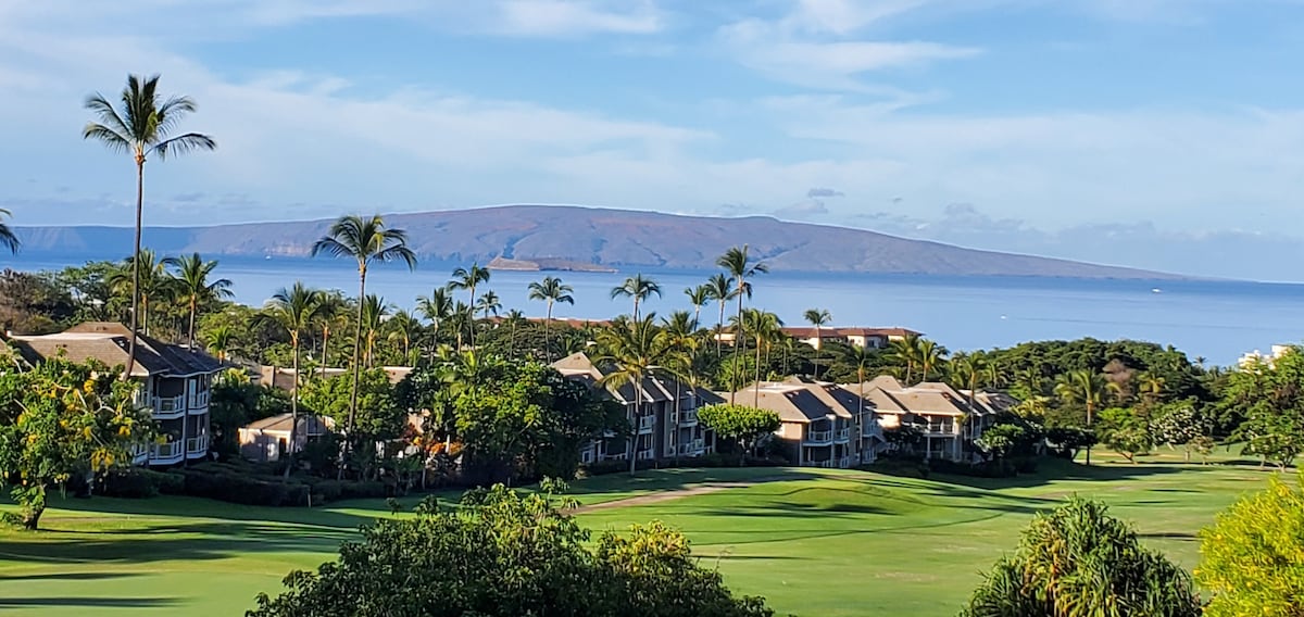 An expansive view captures the lush landscape of a golf course, with palm trees scattered throughout. Coastal residences line the horizon, framed by the ocean and a distant island, under a clear sky with gentle clouds.
