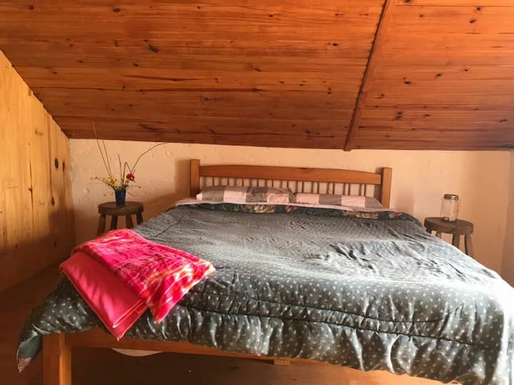 Habitación 3