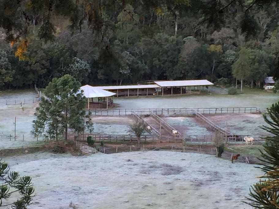 Geada aqui na fazenda em julho de 2016
