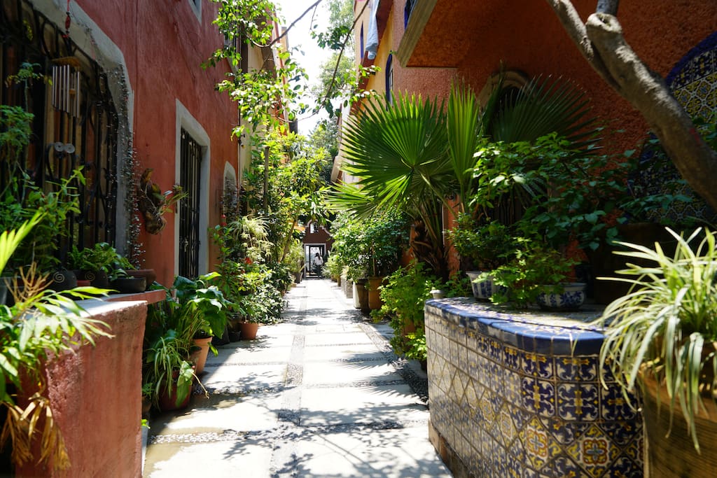 Pedestrian walkway welcomes you into the quietness of our Casita.