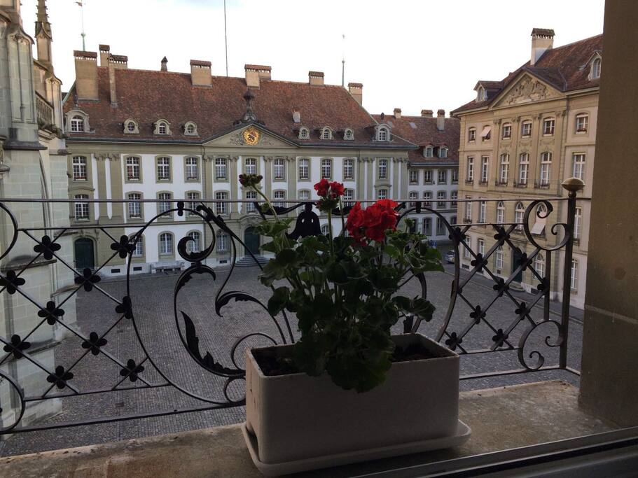 Blick aus dem Wohnzimmerfenster auf den Monsterplatz