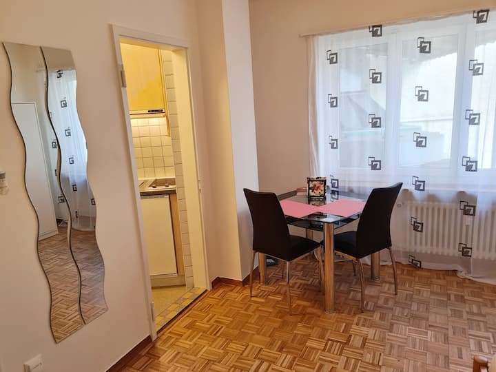 Basel Vacation Rentals & Homes Basel City, Switzerland Airbnb