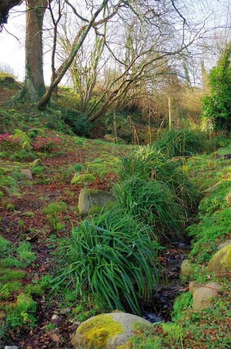 Près de l'ancien lavoir se trouve le ruisseau qui s'écoule paisiblement le long du jardin. Son bruit est une invitation à la méditation...ou à la sieste!!
