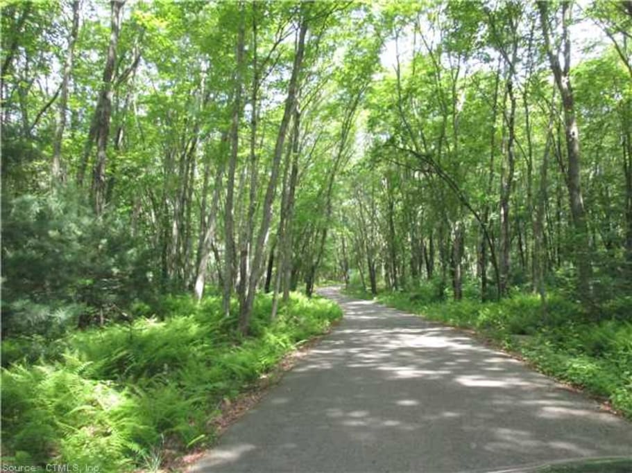 Long driveway. Don't give up!