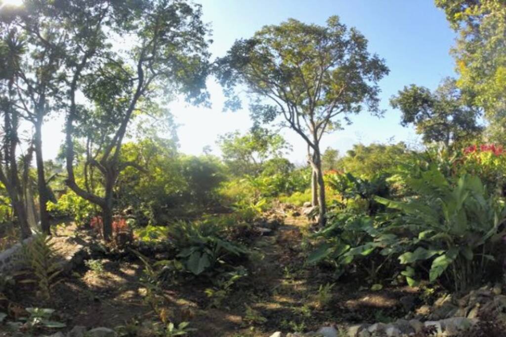 All fenced garden with volcano view in the back