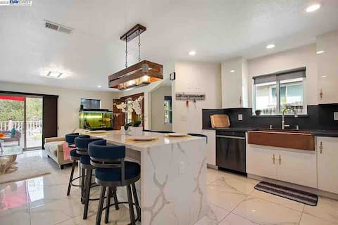 Luxury Modern Home near UC Berkeley with Swim Spa