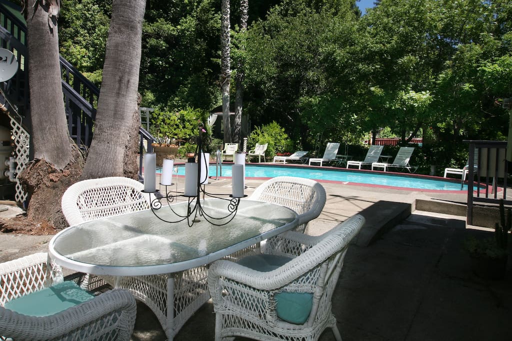 Backyard with cool pool