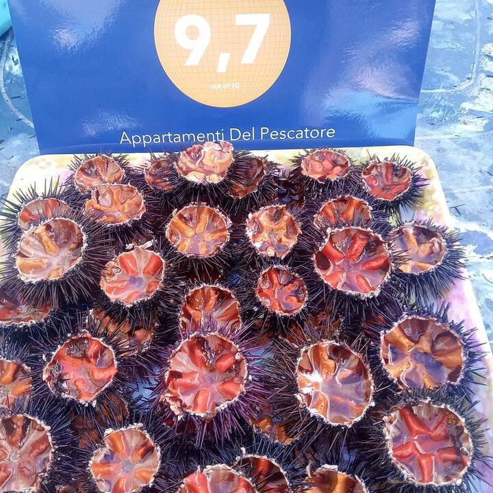 Sole , Simpatia , Cultura , Ospitalità , Calore .. - Fasano
