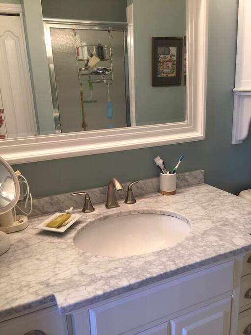 Master bathroom with huge tiled walk in shower
