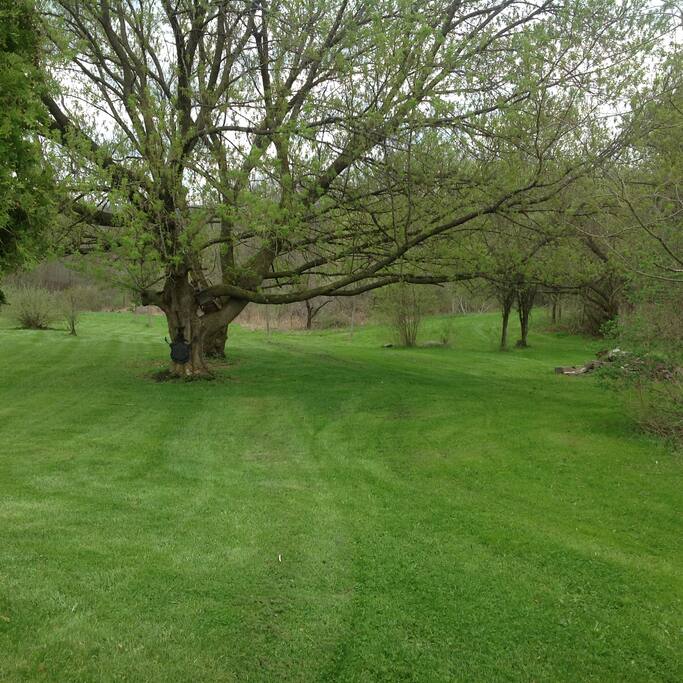 Side yard