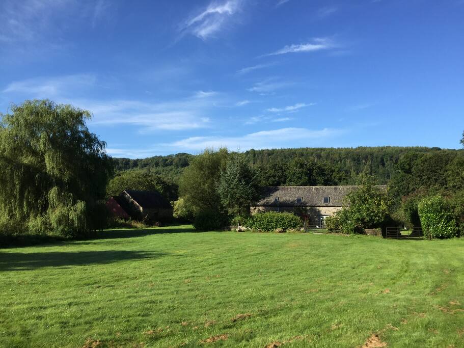 The field at the rear of the cottages.