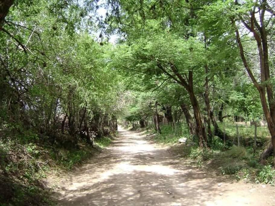 Calle de acceso desde ruta 14.