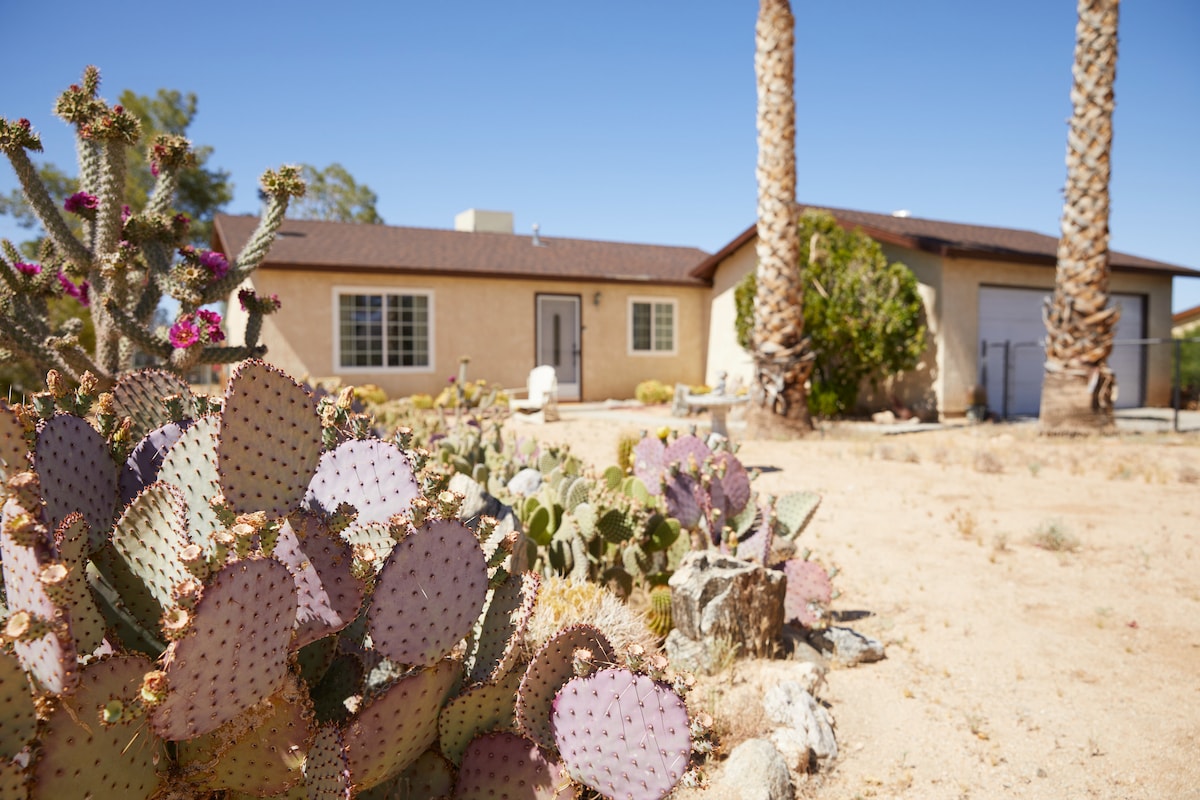 The exterior of a modern house is surrounded by desert landscaping, featuring vibrant cacti and palm trees. The house’s light-colored façade is complemented by large windows, and a garage is visible on the side. A sunny, clear blue sky provides a serene backdrop.