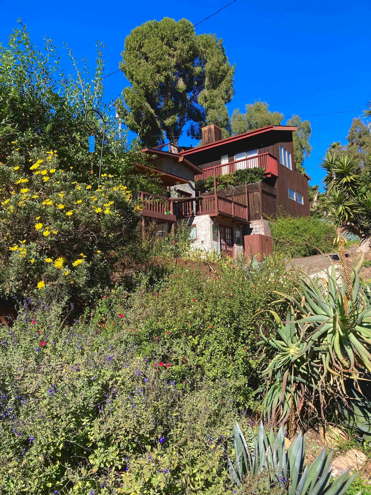 A hillside view of a charming vintage home is surrounded by lush greenery and colorful flowers. The stonework of the house complements the natural landscape, with a wooden deck visible at the front, enhancing the inviting outdoor space.