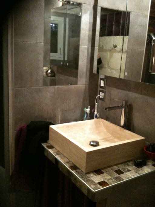 Lavabo de la salle de bain, juxtaposant la douche italienne et les WC