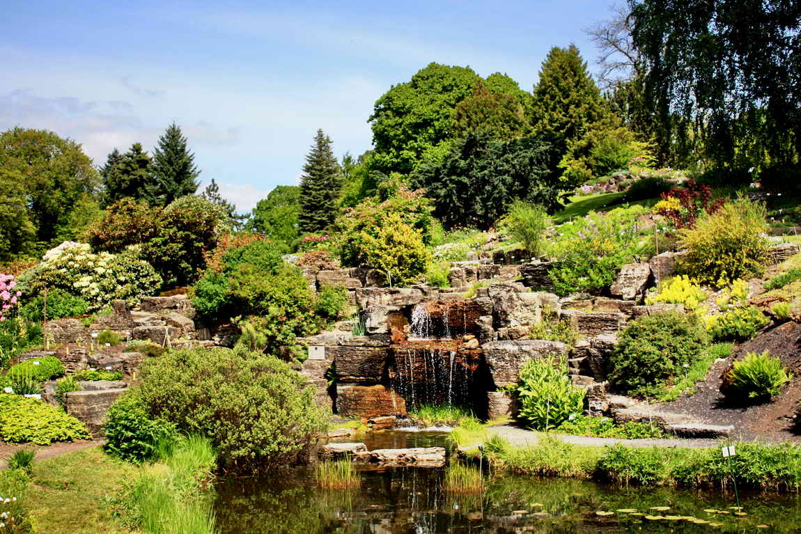 A serene garden landscape is depicted, featuring a cascading waterfall and a variety of lush greenery. Stone steps lead through vibrant flower beds, and reflections can be seen in the still pond at the foreground, creating a peaceful natural environment.