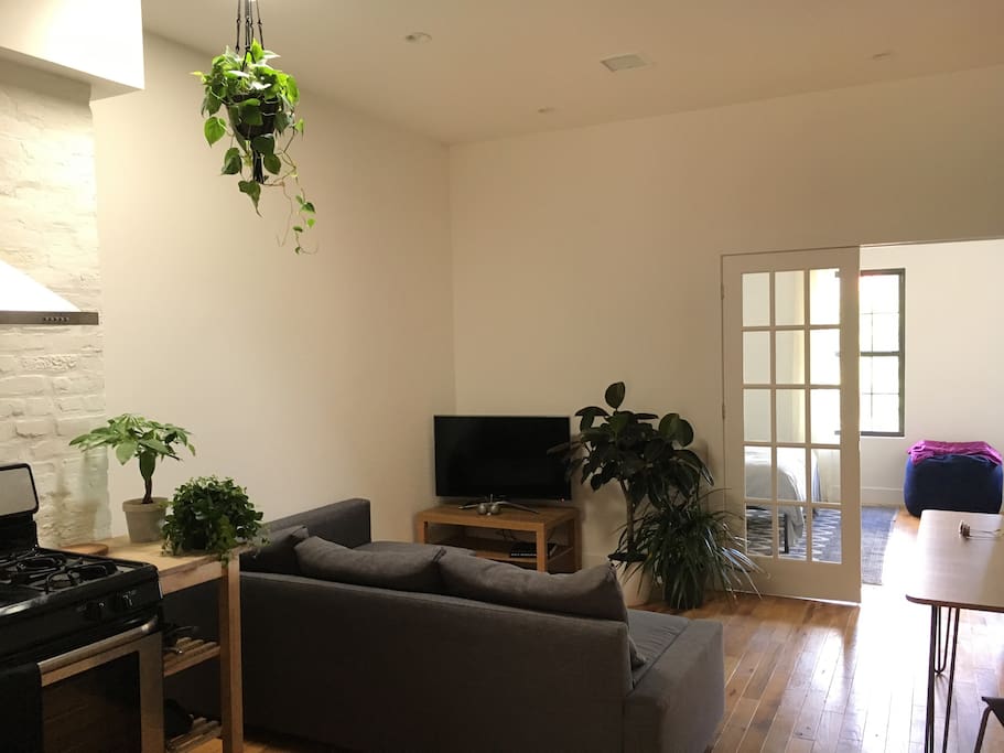 Shared living area