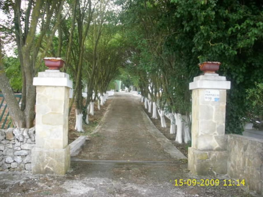 ingresso viale che conduce alla casa e al trullo