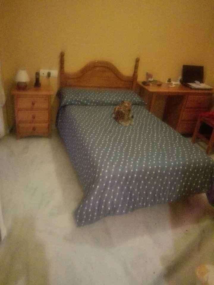 Слика 1 од „Javi42“