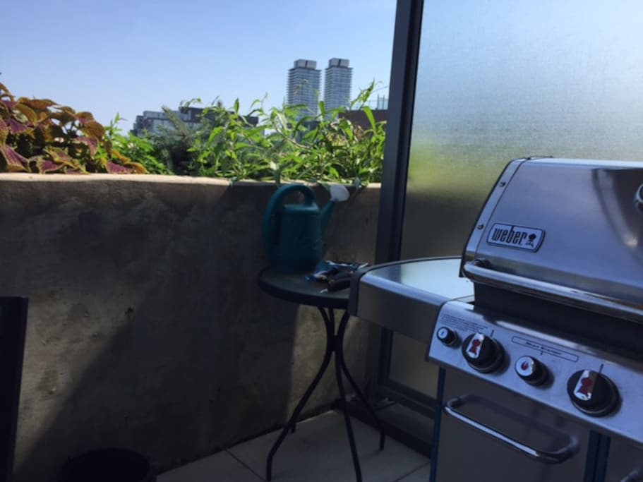 High end webber BBQ with gas line