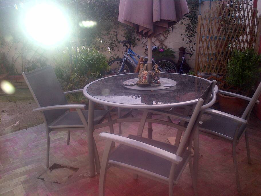back garden