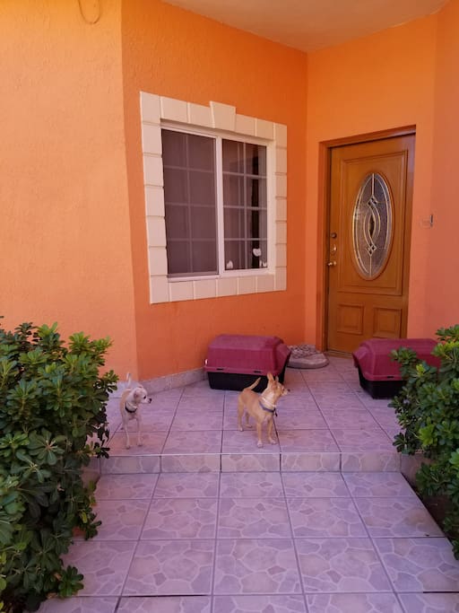 Casa familiar con temibles guardias de seguridad (dos Chihuahuas que permanecerán en poco contacto con los huéspedes). Espacio de estacionamiento disponible dentro de la propiedad.