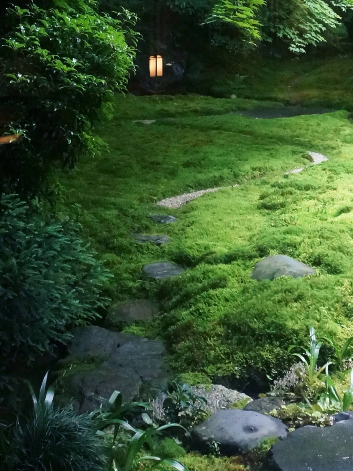 Travel 京都 千万不要错过季节限定的琉璃光院 京都旅游攻略 尽在airbnb爱彼迎