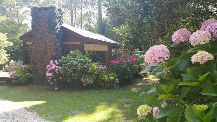 Enchanted cabin in Cariló forest