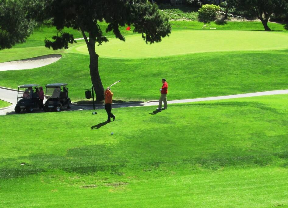 Golfers
