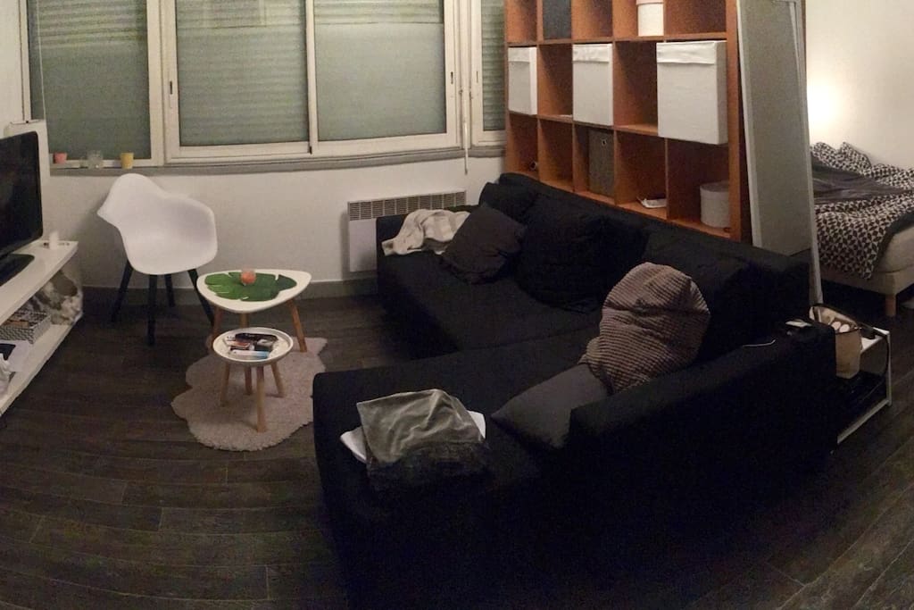Le canapé convertible est confortable avec un oreiller et une couette pour 1 personne
