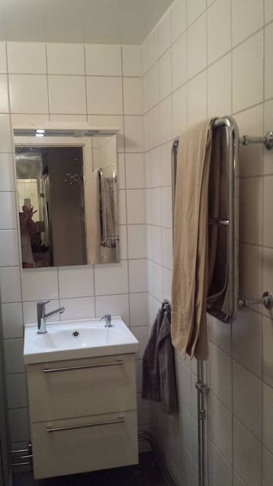 The bathroom