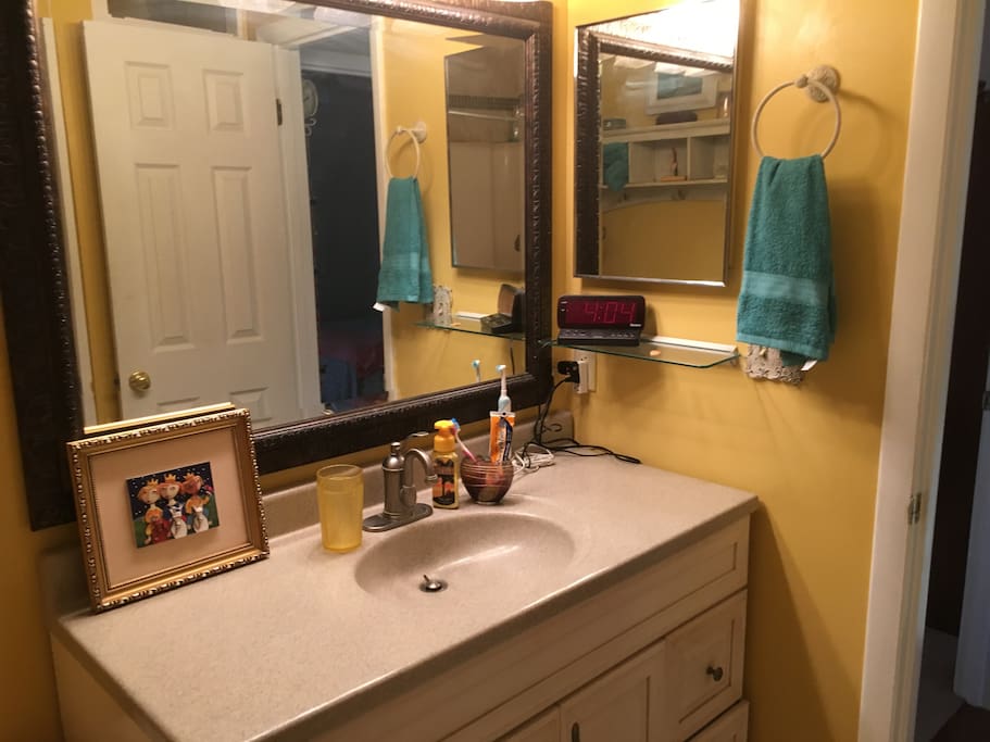 Bathroom--adjacent to Bedroom