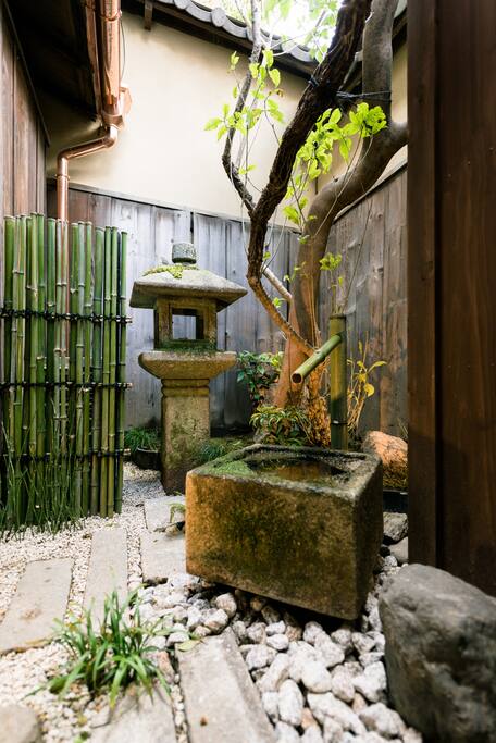 庭院 garden