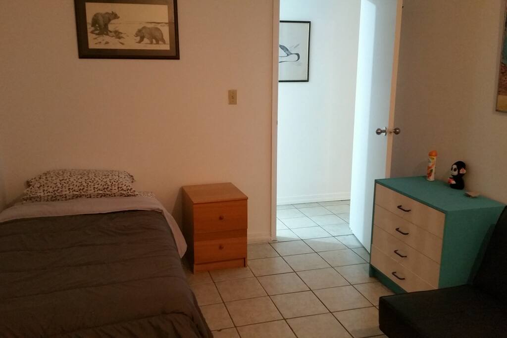 Single bed and hide-a-bed sofa in bedroom