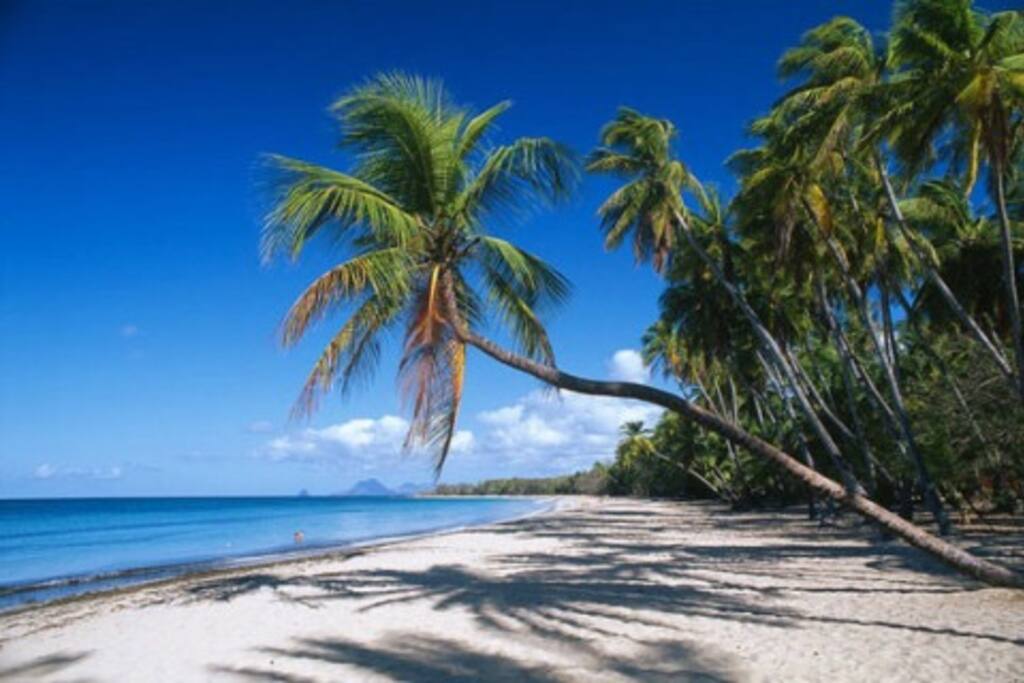 Plage des salines