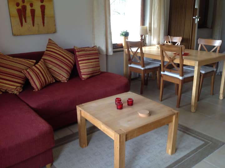 Uniek Gelegen Woning In Bos, Vlak Bij De Diemelsee - Diemelsee