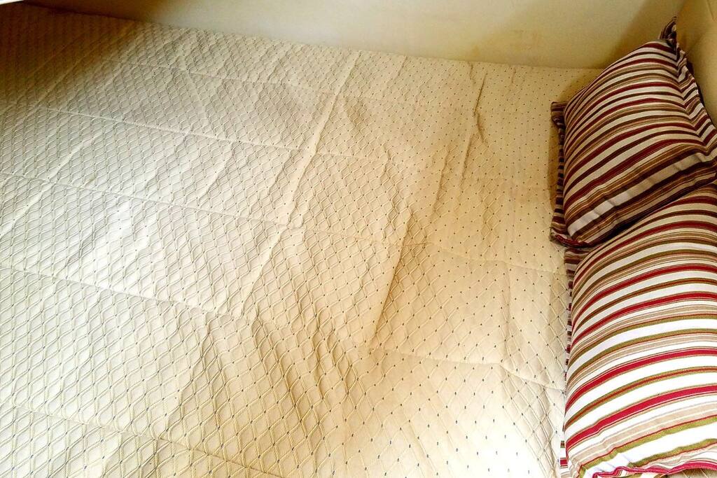Bed could fit two adults.