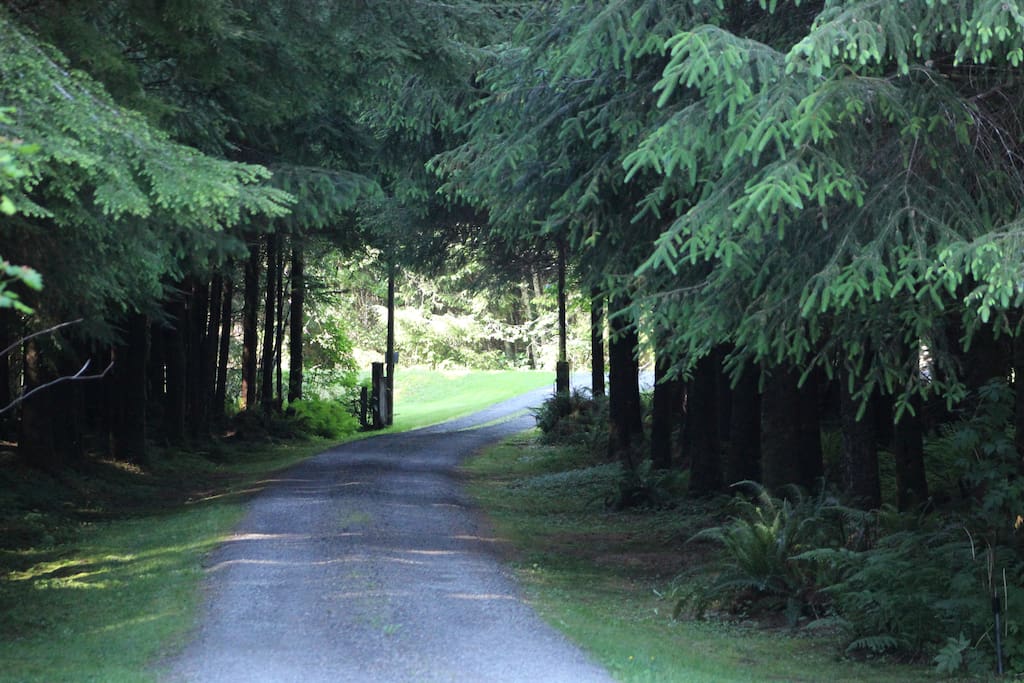 Driveway Entrance