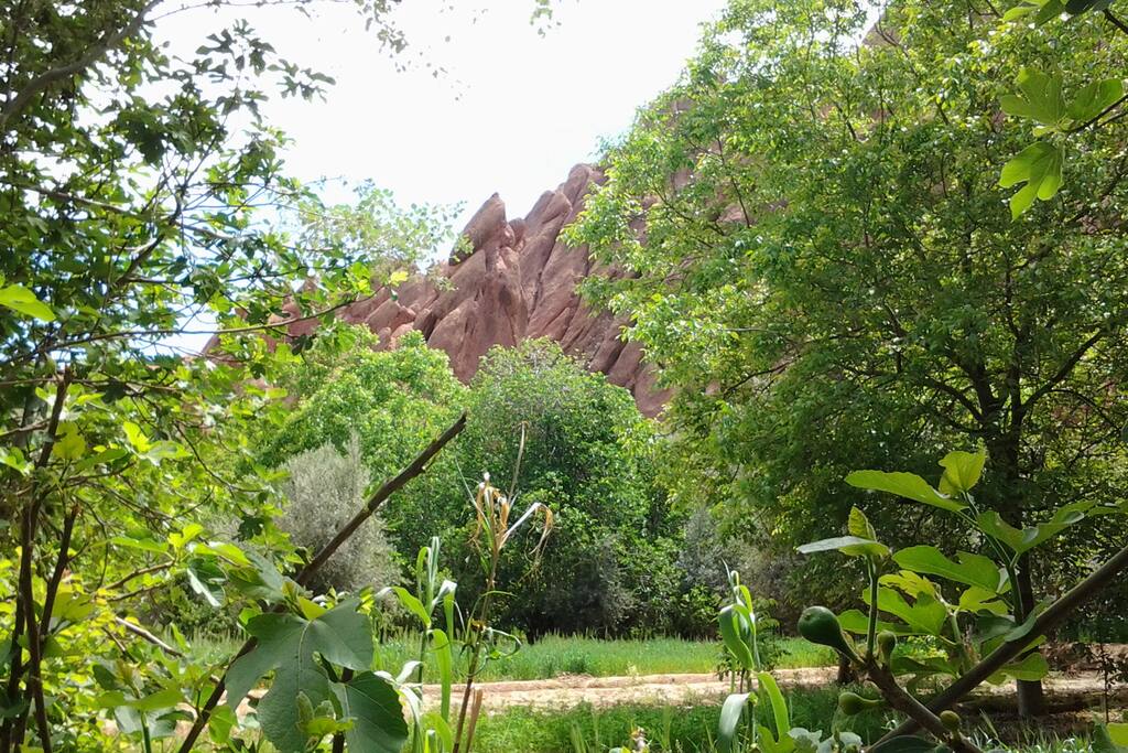 les champs du Dades vus depuis la maison