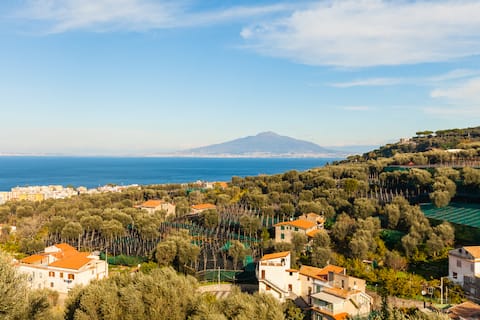 Villa Beatrice Sorrento - AgriSuite Bianca