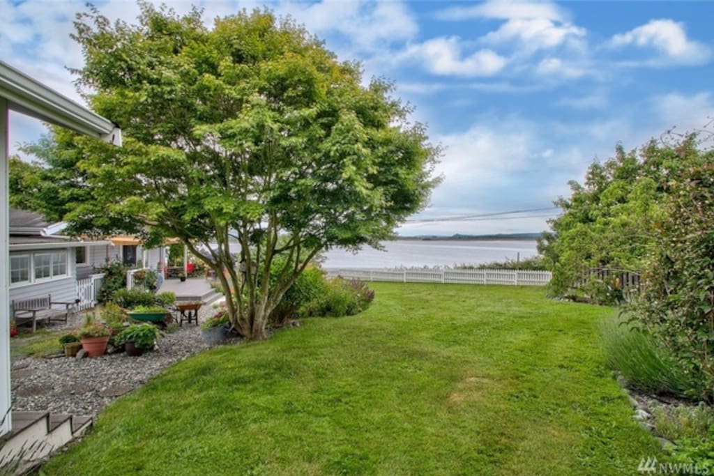 view from cottage