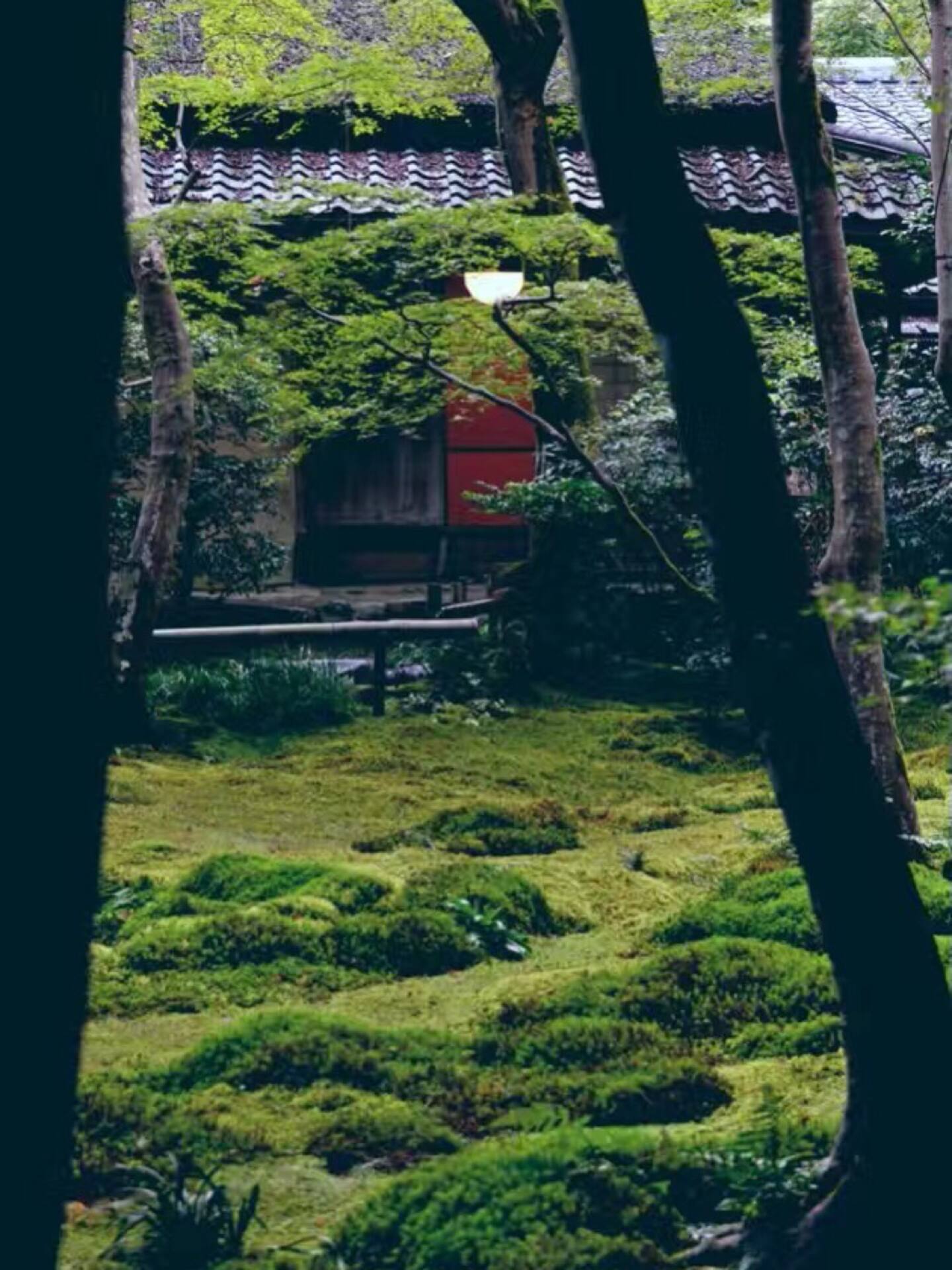 祇王寺 高孤佳人冷峻苔色 京都旅游攻略 尽在airbnb爱彼迎 祇王寺 高孤佳人冷峻苔色 京都旅游攻略 尽在airbnb爱彼迎